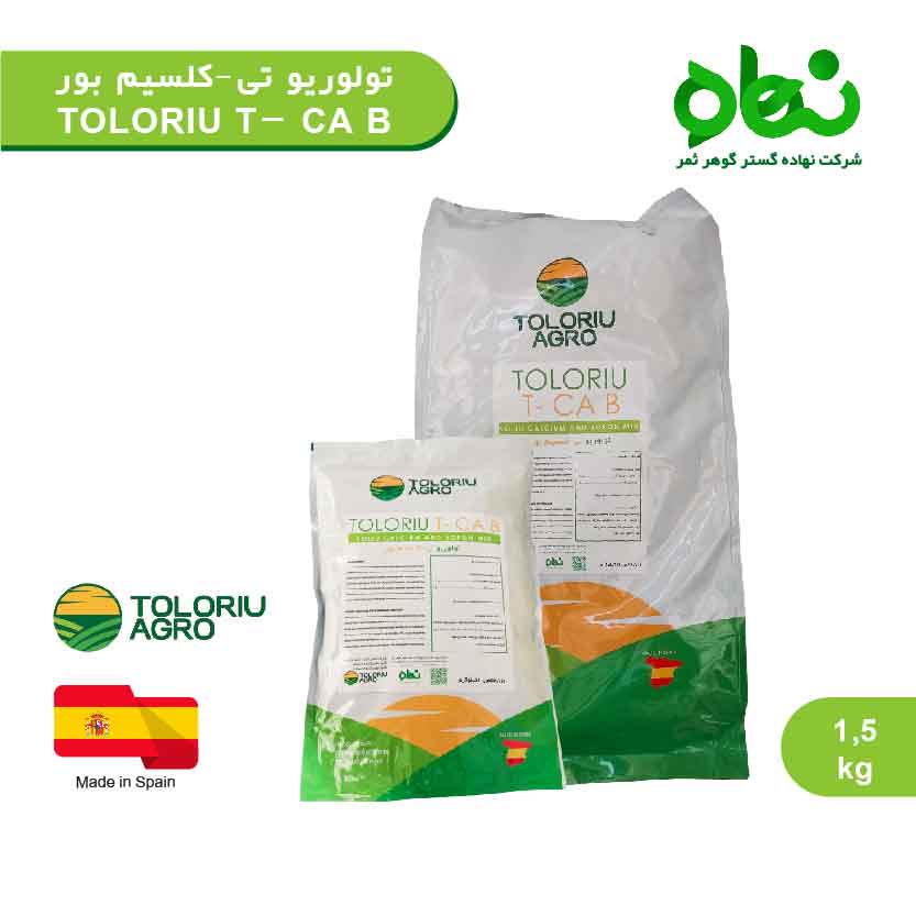 تولوریو تی -کلسیم بور